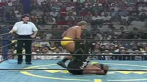 Paul Orndorff vs The Great Muta