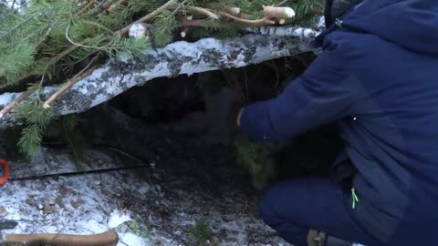 Solo Survival in The Cold | Made a Shelter From Branches