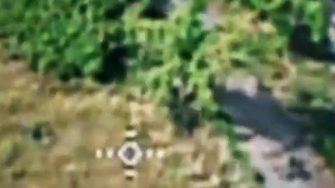 🚀⚔️ Ukraine Russia War | Perun Unit Engages Russian Soldiers in Sumy | RCF