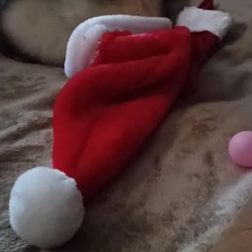 Is it Christmas yet?