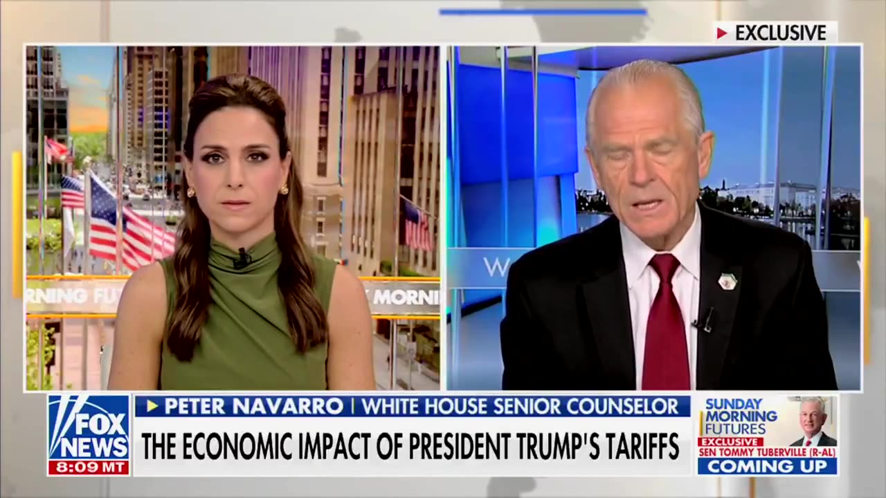 Peter Navarro: ‘These tariff revenues…they're going to help pay for the tax cuts.’