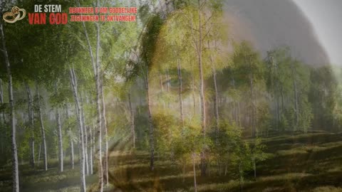 Hoje eu senti que Tu fizeste de tudo pra me alcançar… eu tô no limite — Deus, não deixa isso passar