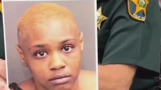 Florida Sheriff Stories