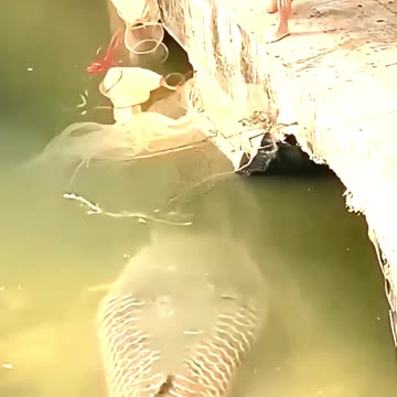 He Caught What? Unbelievable!