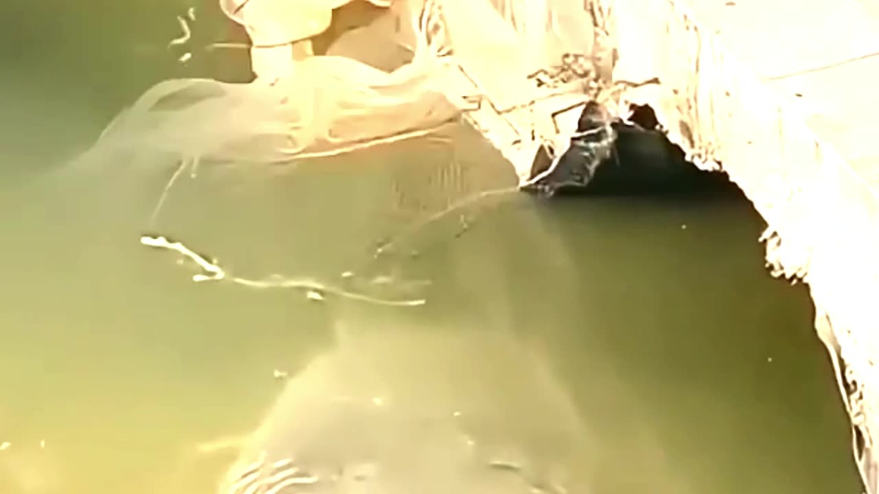 He Caught What? Unbelievable!