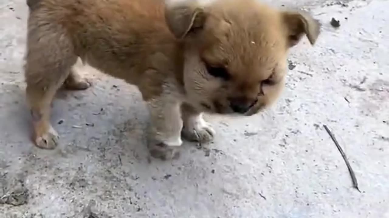 No matter what, I'm just talking about eating