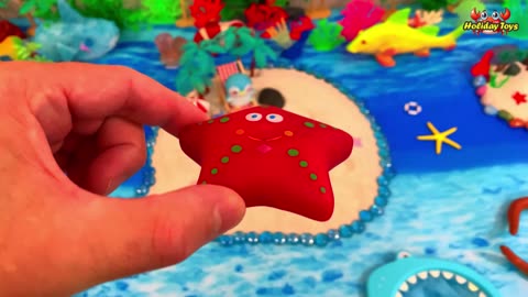 Water Animals Play in the Sand and Colorful Marbles