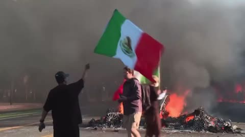 Would any other country in the world let an illegal immigrant light cars on fire