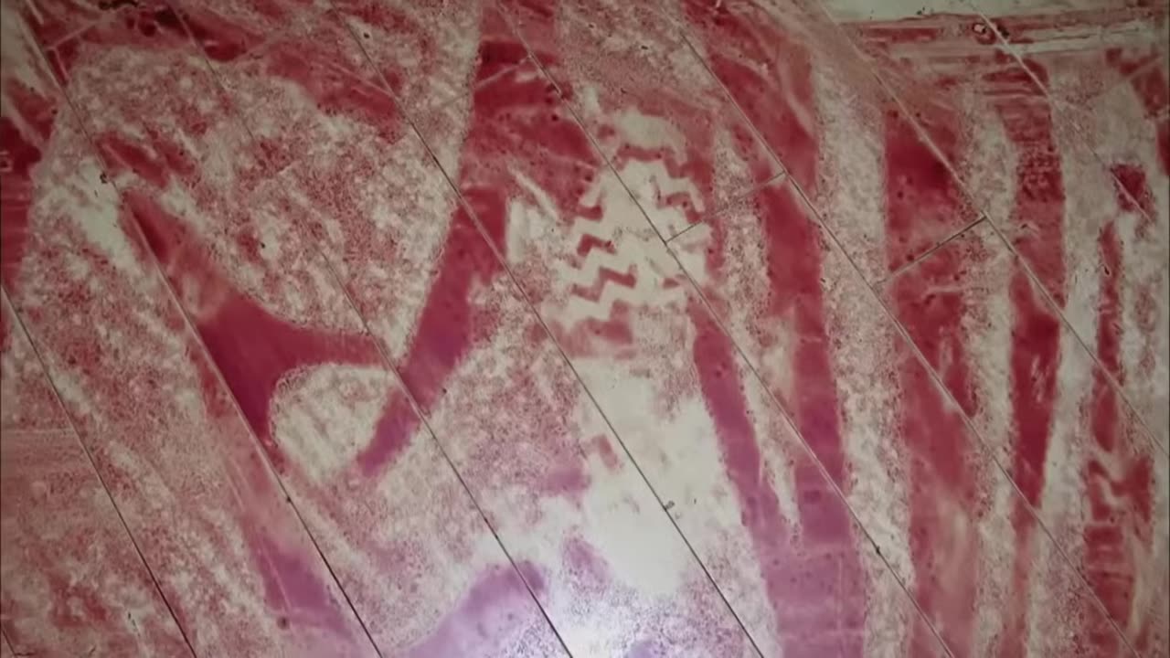 Forensic Files Season 13 Episode 41 Palm Saturday