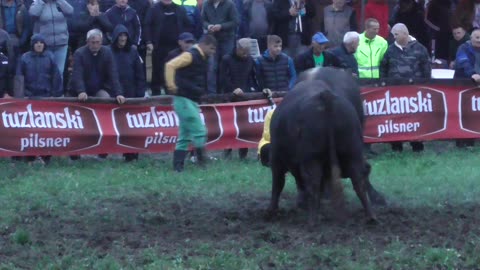 Aras od Elvedina i Nedžada vs Gavran od Đonija Banovići 2025