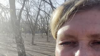 Gratitude: Trees Budding