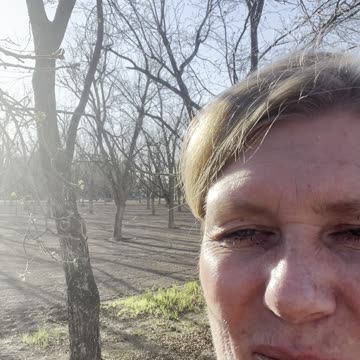 Gratitude: Trees Budding