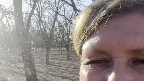 Gratitude: Trees Budding