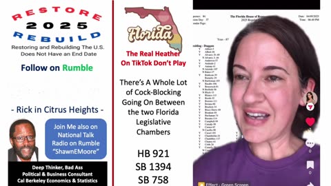 TikTok's The Real Heather Says FL Legislative Chambers Cock-Blocking Needed Bills