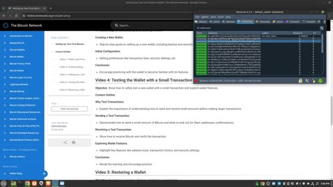 Testing the Wallet with a Small Transaction: Video 5 of 6