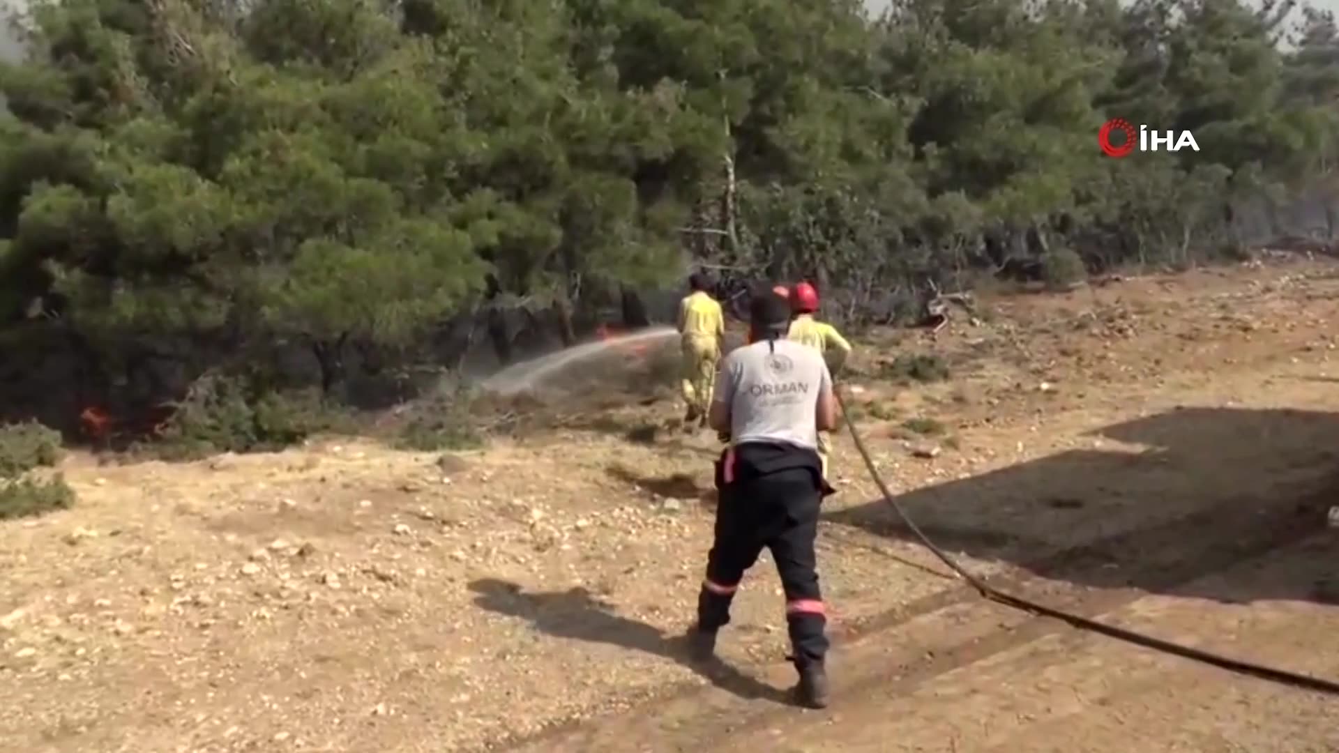 Firefighters try to contain wildfires ravaging northwest Turkey