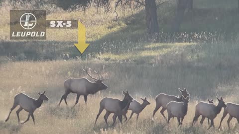 Brantley Gilbert's INTENSE ELK HUNT in Montana w/ Lee and Tiffany Lakosky