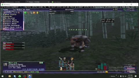 Playing Final Fantasy XI Online