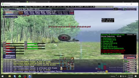 Playing Final Fantasy XI Online