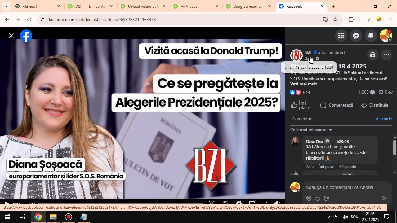 DIS--- - 18 aprilie 2025 - Vizualizarea paginii
