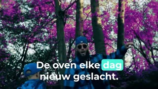 2 geslachten Toby James