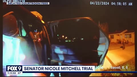 Police bodycam reveals Sen. Nicole Mitchell's burglary arrest
