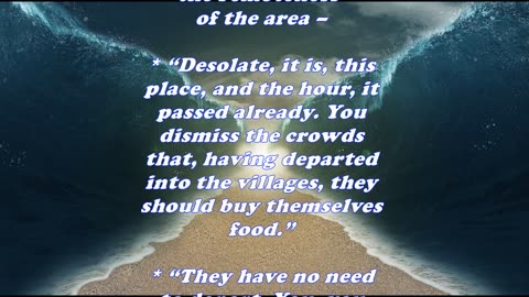 Matthew 14:16 - Daily Bible Verse Commentary