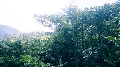 Nature beautiful