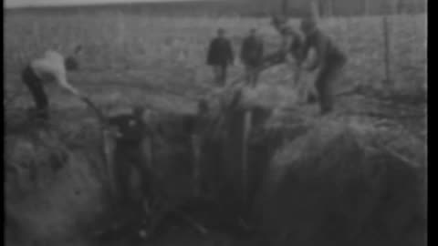 ANCHORED ACRES - ANCHORED ACRES - 33-197