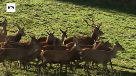 The Silent Beauty of Hidden Landscapes