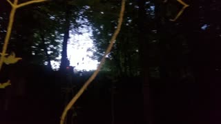 🔴POWERSPORTS, FESTS, SIMS/GAMING, COMEDY, TRAVELNSHEZ