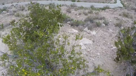 🔴POWERSPORTS, FESTS, SIMS/GAMING, COMEDY, TRAVELNSHEZ