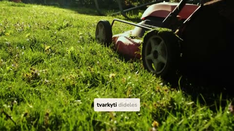 Efektyvu Galia Mašinos Kiekviena Didelis Kieme