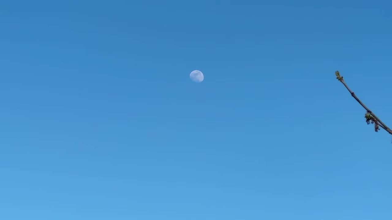 Moon 🌕