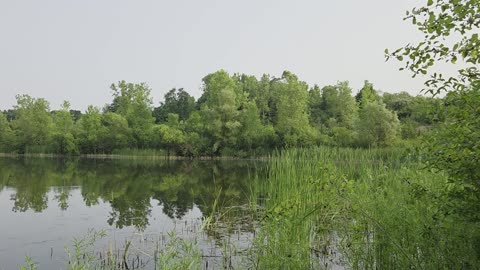 City Park Pond at Sunset