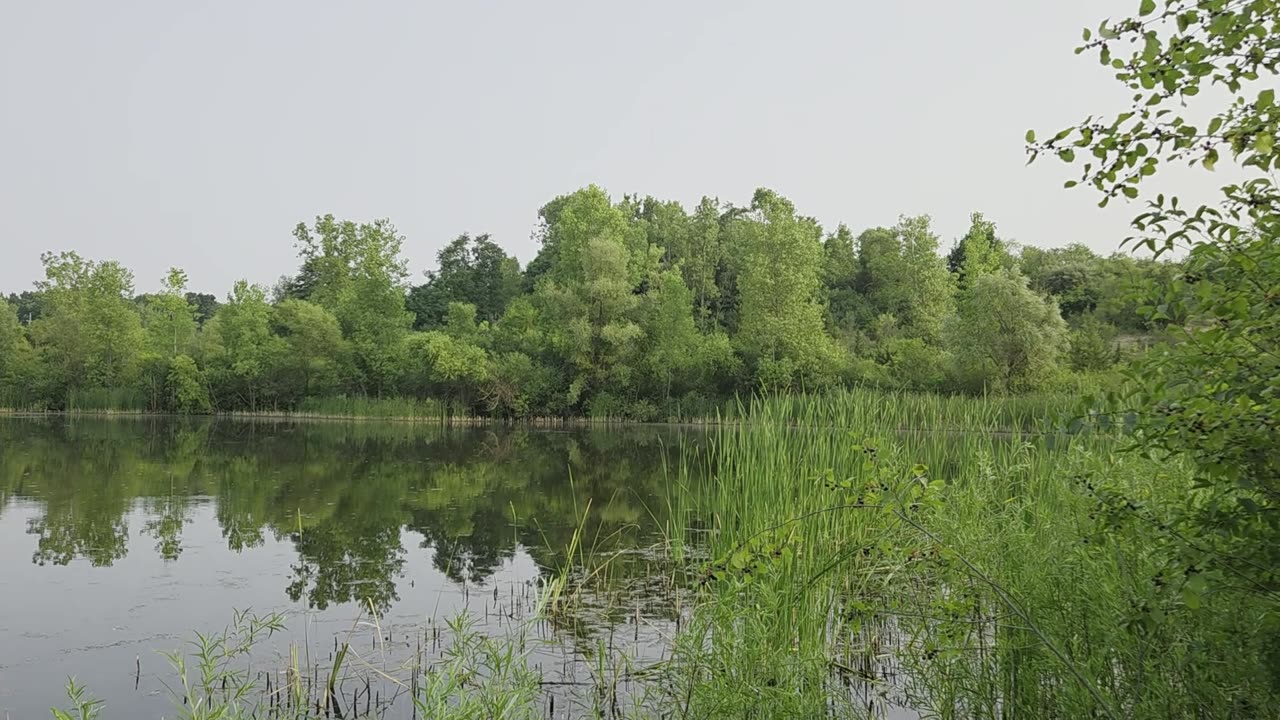 City Park Pond at Sunset