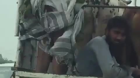 Lal dubata