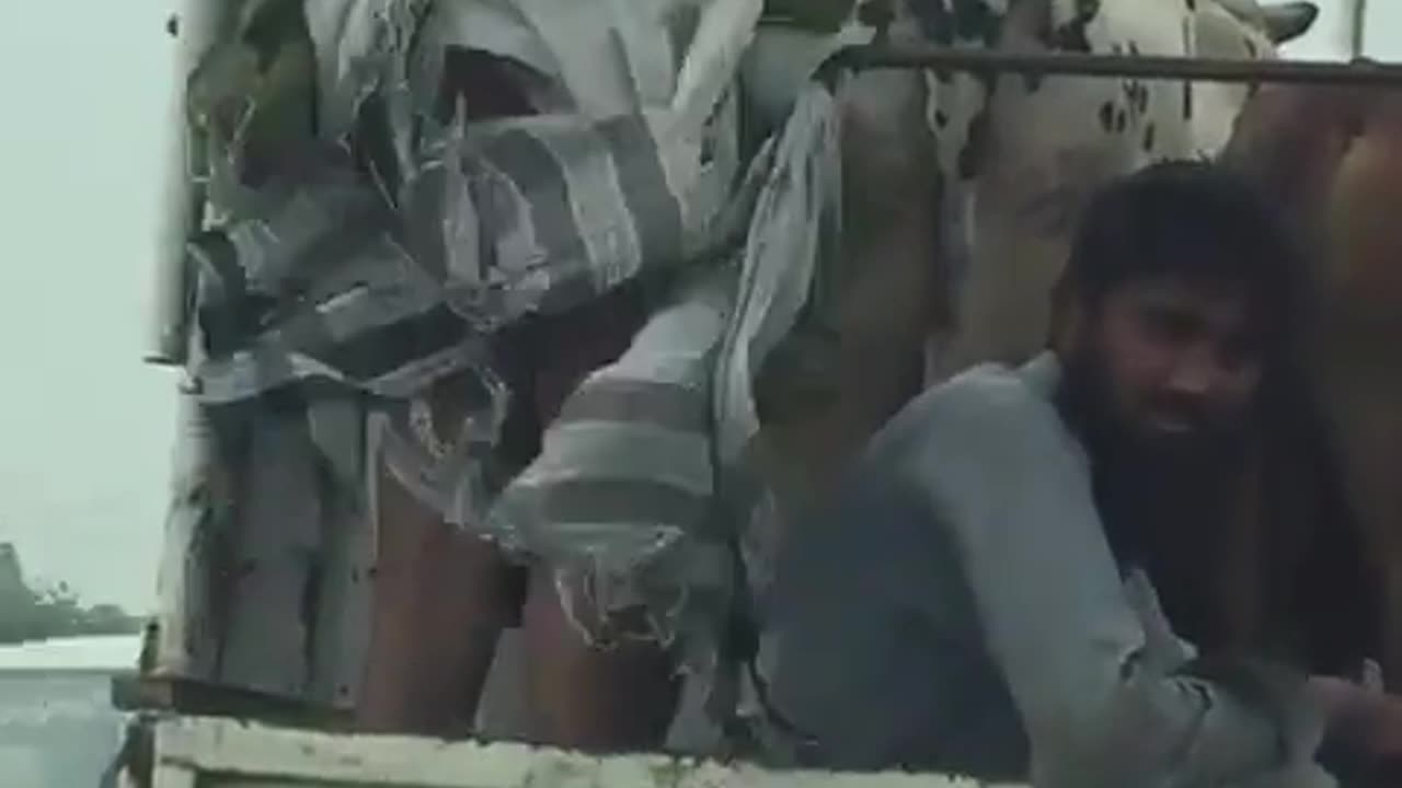Lal dubata