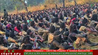 መስከረም 7-2025 ONM-ABO እለታዊ የኦሮሞ ነፃነት ሰራዊትና የኦሮሚያ ውሎ!