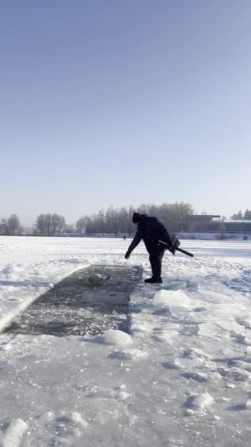 Dog Jumps Into Ice Water