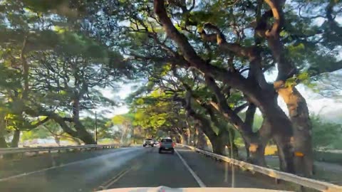 Our FiRST CHRiSTMAS in our NEW HOUSE w/10 KiDS! 🎄 ❤️