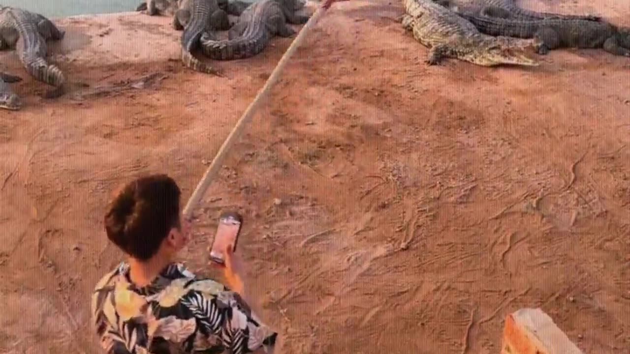 This kid goes to fight crocodiles for no reason.