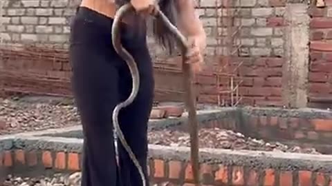 Amazing: Snake rescue saiba19 viral video #snake