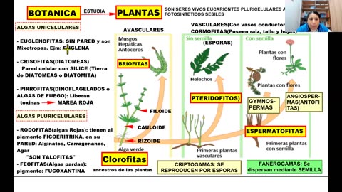 REPASO MEDICINA ADUNI 2026 - 1 | Semana 03 | Biología | Literatura | RM