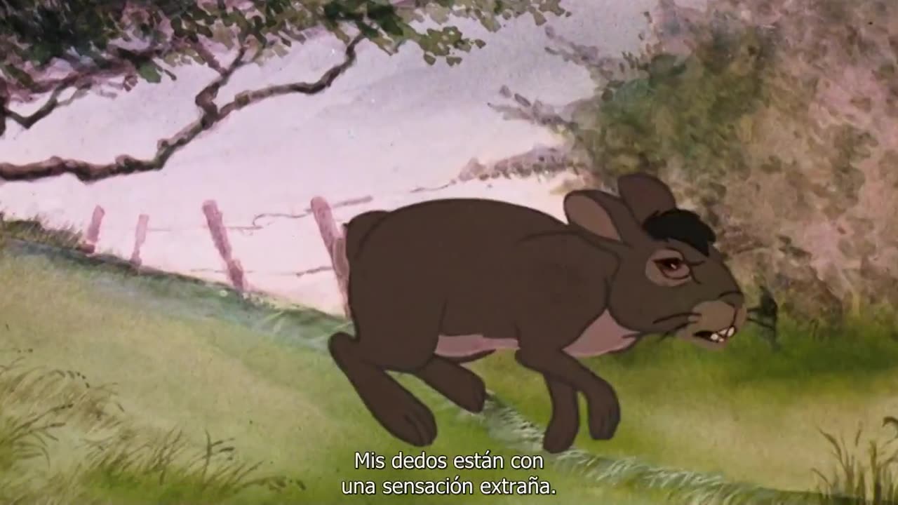Watership Down (1978) [SHADOW BANNED]