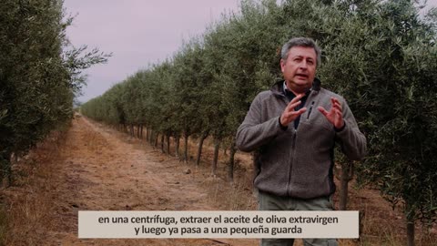 DESAFÍOS DE MUJER 04/09/2025