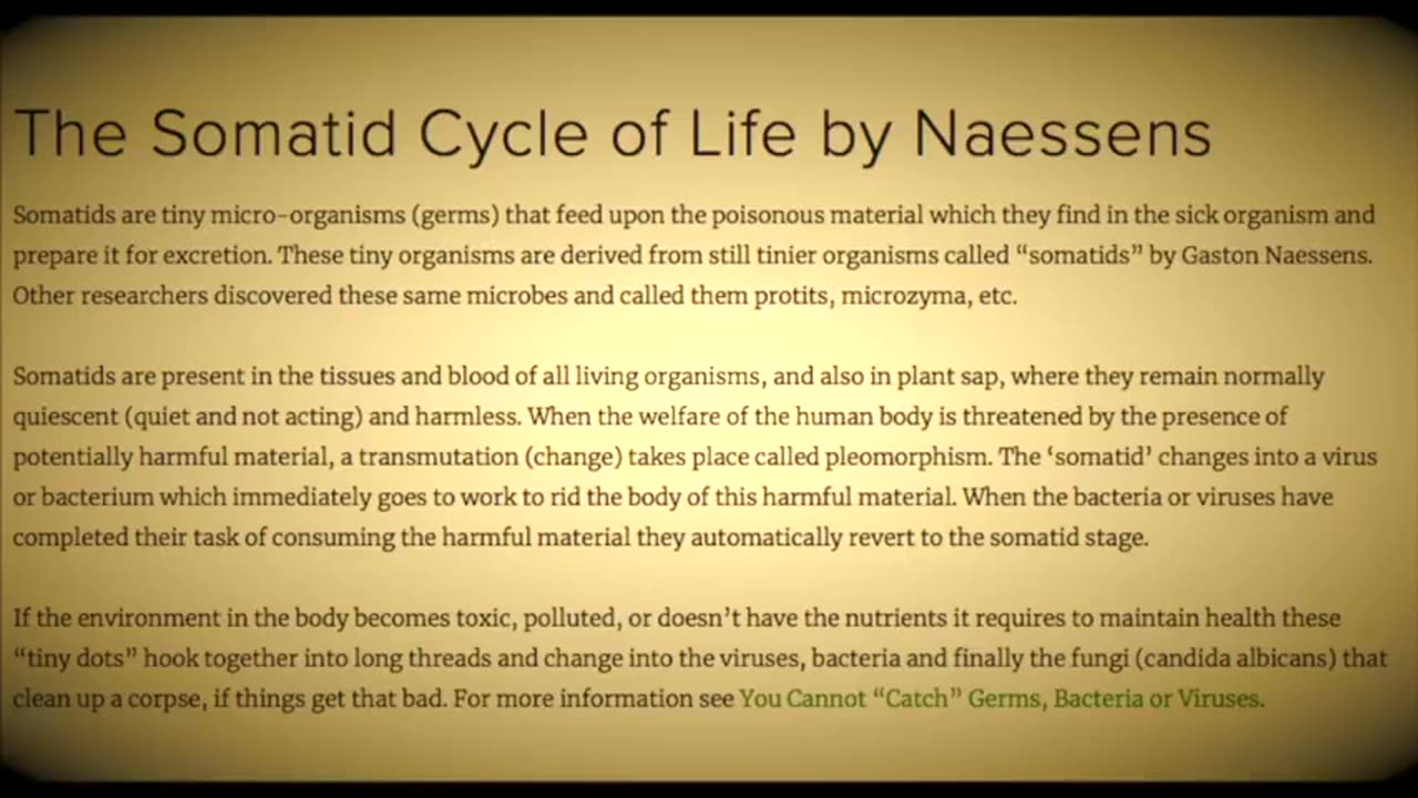 [Mar 4, 2020] Important Information on Coronavirus 5G Kung Flu [Spacebusters]