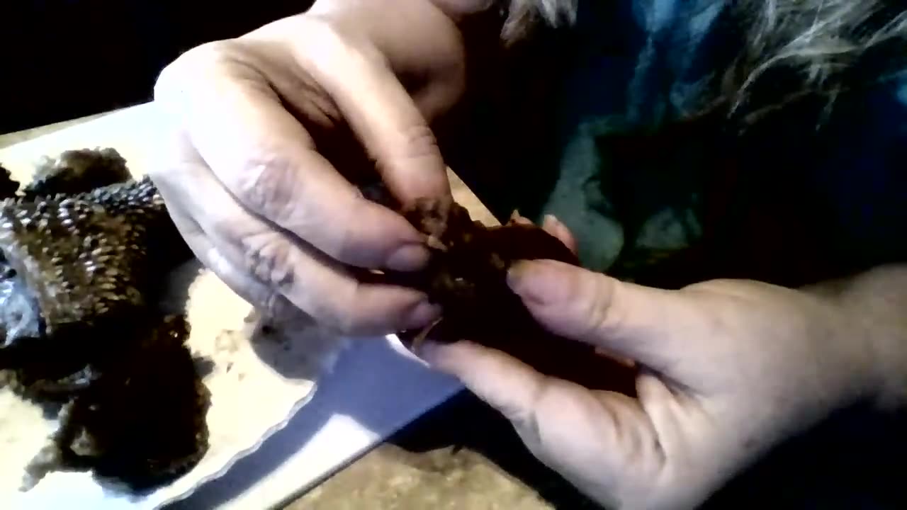 Gross foods (cow lips)