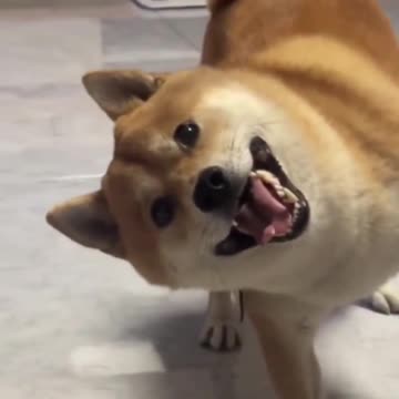 A smile for your timeline.. 😅