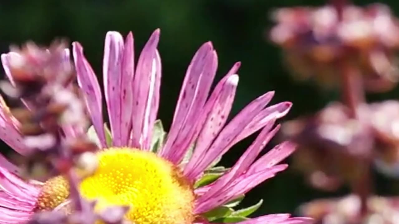 You are stronger than you think